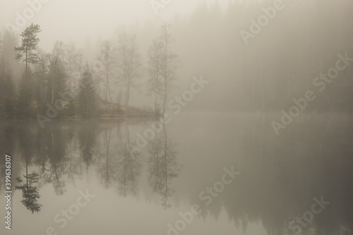 Misty morning by the forest lake. Trees and surroundings are reflected on the water surface.