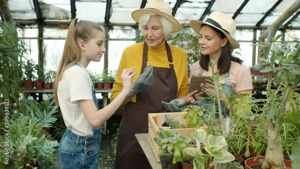 custom made wallpaper toronto digitalSlow motion of people farmers adults and kid talking looking at plants and writing in notebook in hothouse. Agriculture and family business concept.