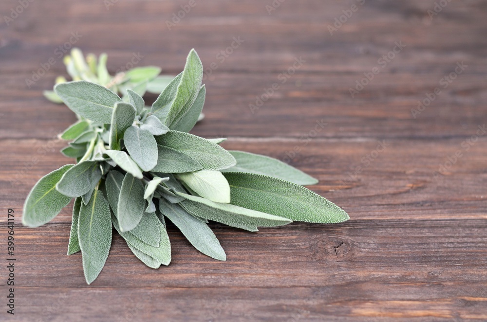 Obraz premium Salvia officinalis. Fresh sage herb on a rustic wooden table with a copy space.