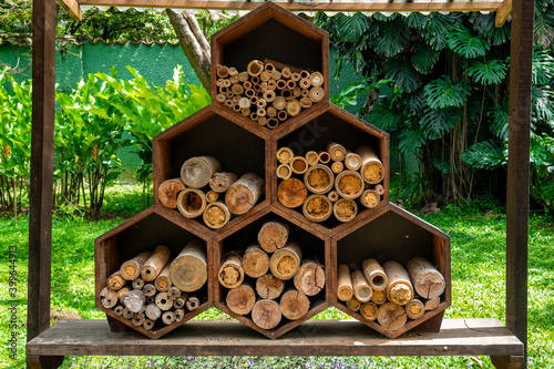 Different Sizes of Stacked Logs Showing the Bark