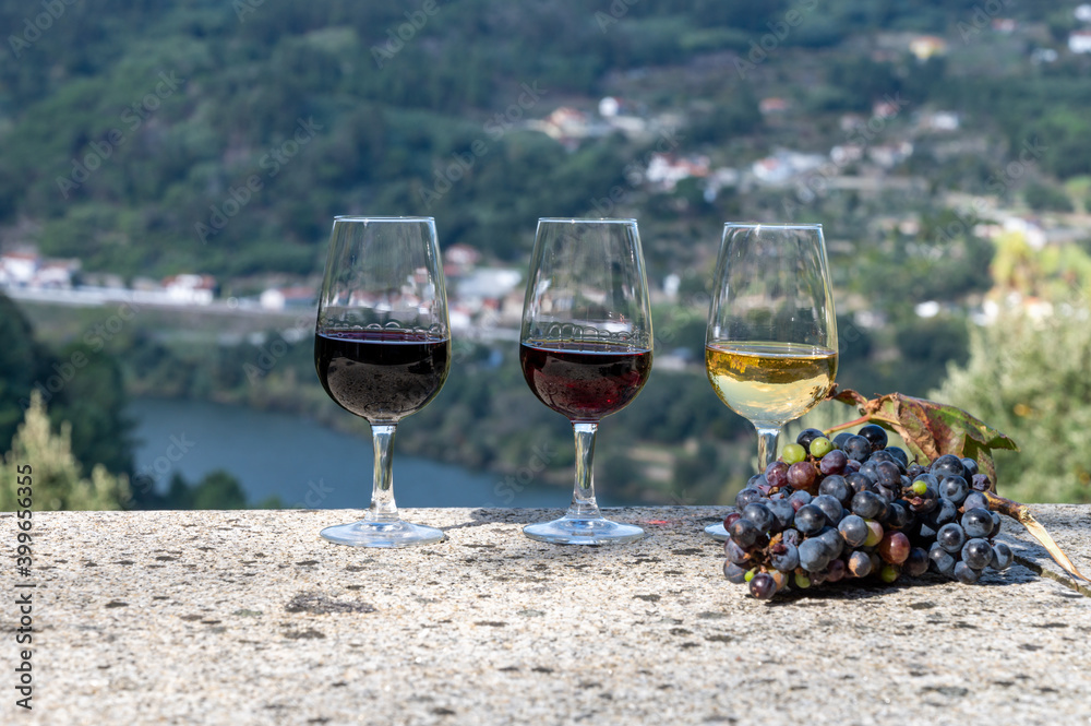 Outdoor tasting of different fortified port wines in glasses in sunny autumn, Douro river Valley, Portugal