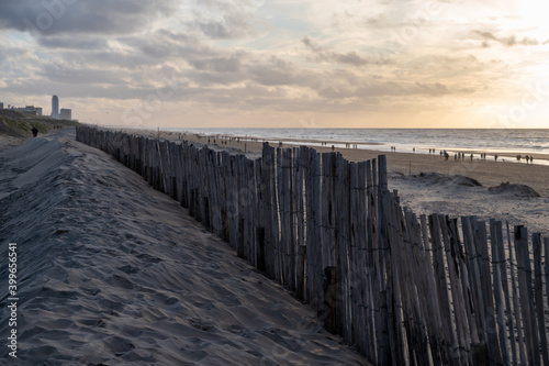 Sand fence on wide windy beach of North sea near Zandvoort in Netherlands photo