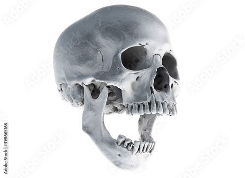 Canvastavla Human skull with an open lower jaw on a Black isolated background