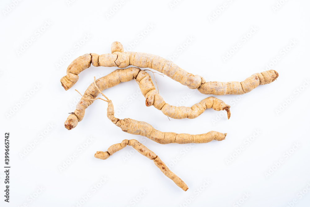 Fresh Chinese herbal medicine Morinda officinalis on white background Fresh Chinese herbal medicine Morinda officinalis on white background