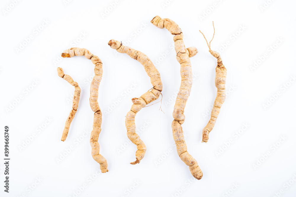 Fresh Chinese herbal medicine Morinda officinalis on white background Fresh Chinese herbal medicine Morinda officinalis on white background