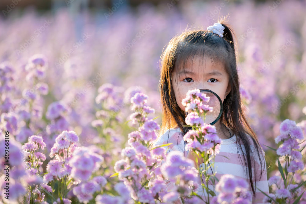 Cute asian little child girl holding magnifier looking on flower with curiously and enjoying with beautiful flower in the flower garden. Cute asian little child girl holding magnifier looking on flower with curiously and enjoying with beautiful flower in the flower garden.