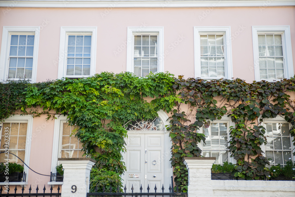 Front side of British house covered with climbing plants