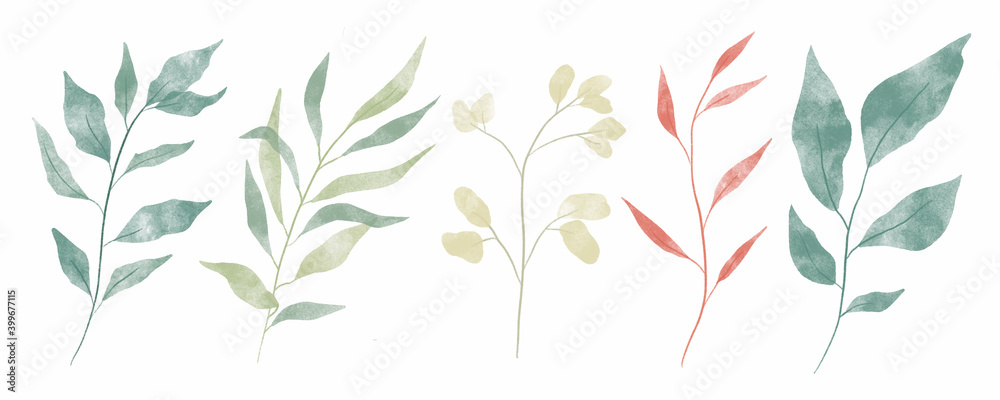 Set of green leaves and branches. Watercolor illustrations. Botanical clip art in white background. Floral Design elements. Perfect for wedding invitations, greeting cards... Set of green leaves and branches. Watercolor illustrations. Botanical clip art in white background. Floral Design elements. Perfect for wedding invitations, greeting cards...
