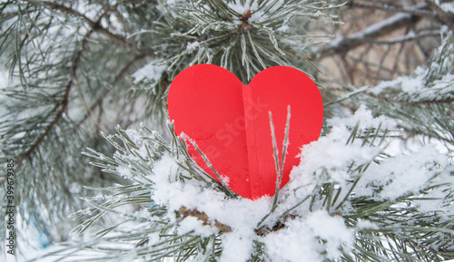 Pine branch with red heart Christmas decoration or for Valentine s day  outdoor