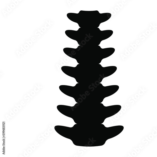 
A long vertebral column or backbone, icon of spinal cord 
