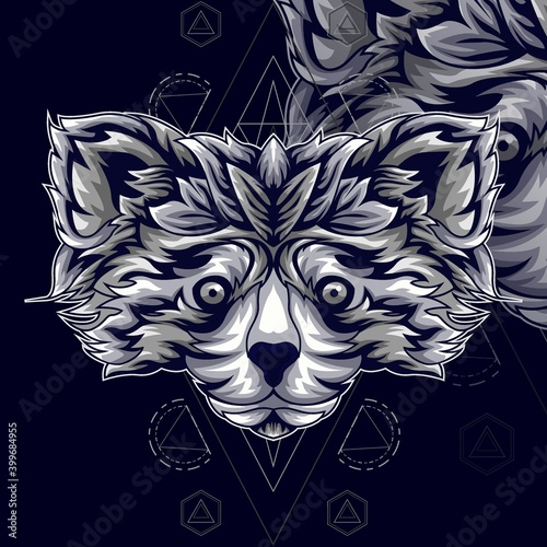 racoon original illustration photo