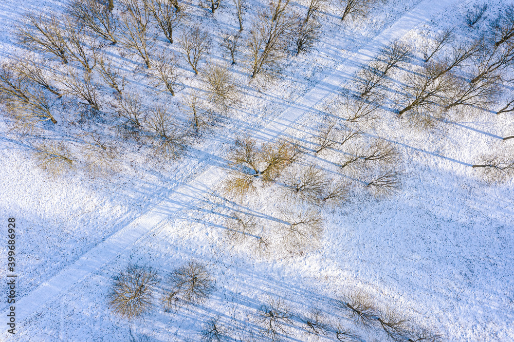 aerial view of trees and their shadows on the snow and footpath in park on a sunny winter day