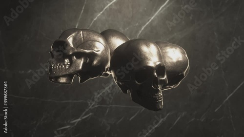 Loop Of Rotating Skulls