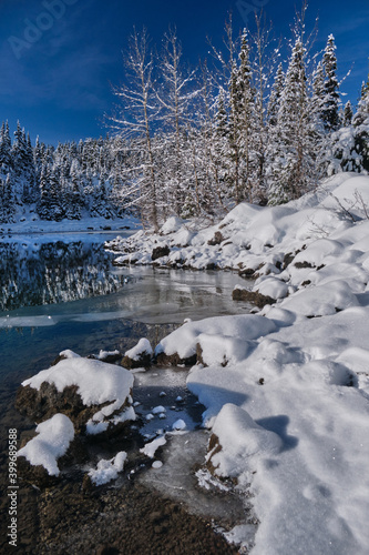 Snowy trees reflections in blue alpine lake. Garibaldi Lake near Whistler. British Columbia. Canada 