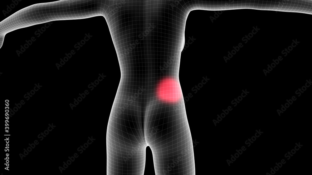 Obraz premium 3d illustration of a woman xray hologram showing pain area on the back area