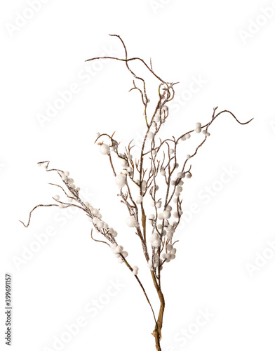 Beautiful decorative branch for Christmas on white background