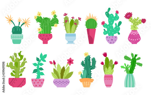 Cartoon cactus and succulent clipart - isolated cute potted cacti images on white background, vector bundle with desert green blooming palnts, colorful icons set