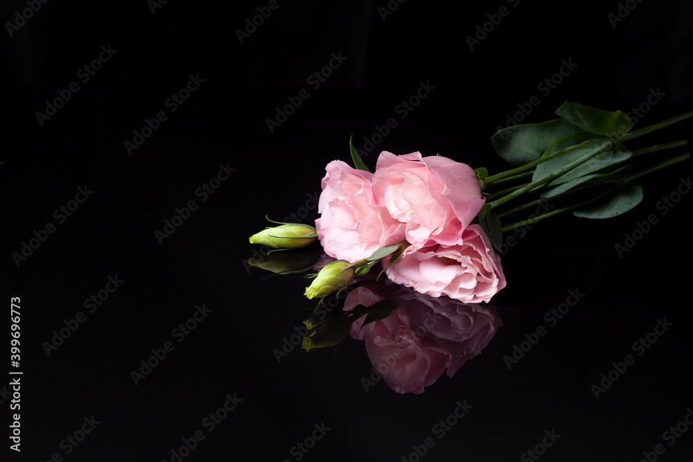 Fototapeta premium a floral arrangement of three pink lisianthus or eustoma flowers with an unopened bud lies on a black background with a reflection.