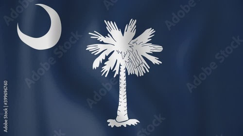 South Carolina animated flag. Seamless loop. 4K