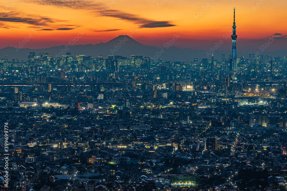 Fototapeta premium 富士山と東京の夜景
