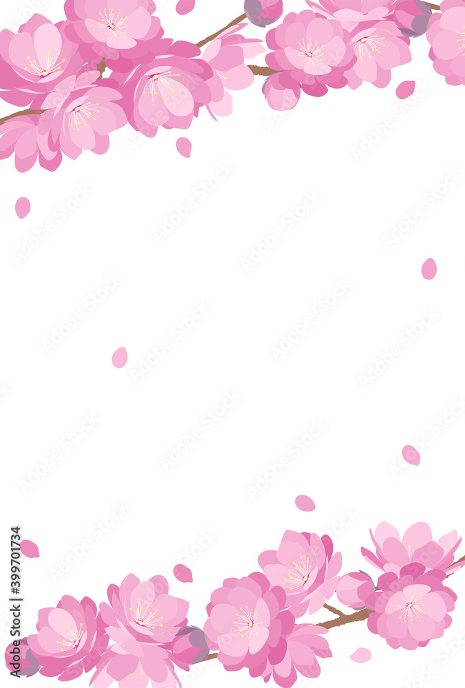 Peach Blossom background spring flower hinamatsuri