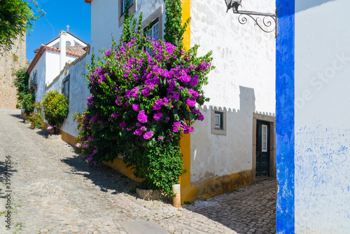 Cozy narrow streets of old town Obidos, Portugal © rostovdriver