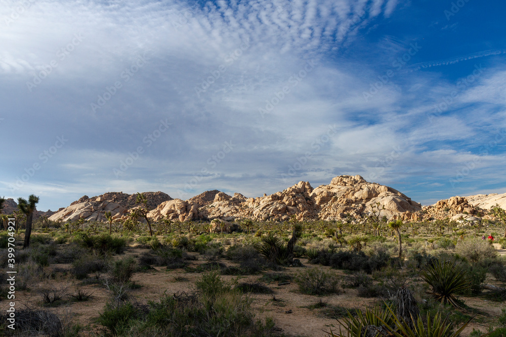 View of rock formations in Joshua Tree National Park, California. Beautiful blue skies over the desert for adventurous tourists.