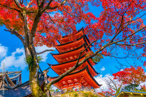 Toyokuni Shrine five-story pagoda at Miyajima, Hiroshima, Japan photo