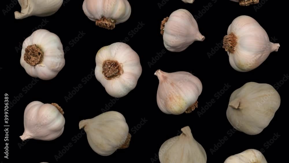 Realistic render of falling garlic heads on transparent background (with alpha channel). The video is seamlessly looping, and the objects are 3D scanned from real garlics.
