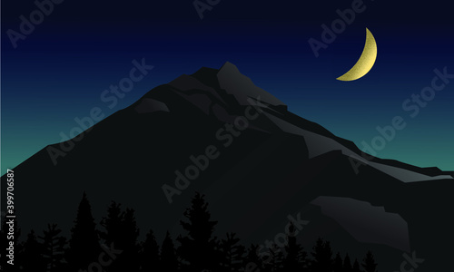 A large forest area in the moonlight.
