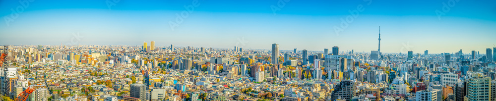 Tokyo rooftop panorama on sunny day. Japan