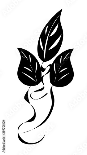 black and white flower