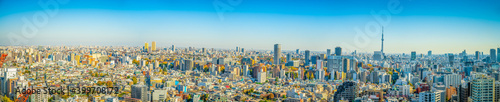 Tokyo rooftop panorama on sunny day. Japan