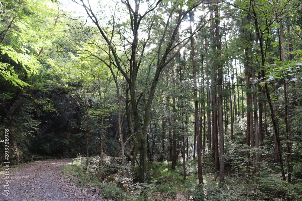 Obraz premium 宇連山の綺麗な景色