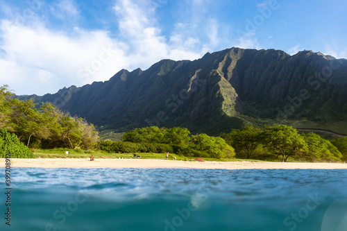 Hawaiian Winter