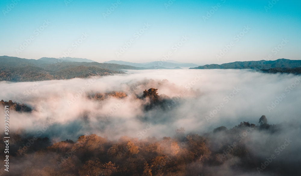 Fototapeta premium Early morning forest from above, morning sun and fog