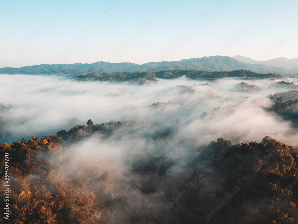 Early morning forest from above, morning sun and fog Early morning forest from above, morning sun and fog