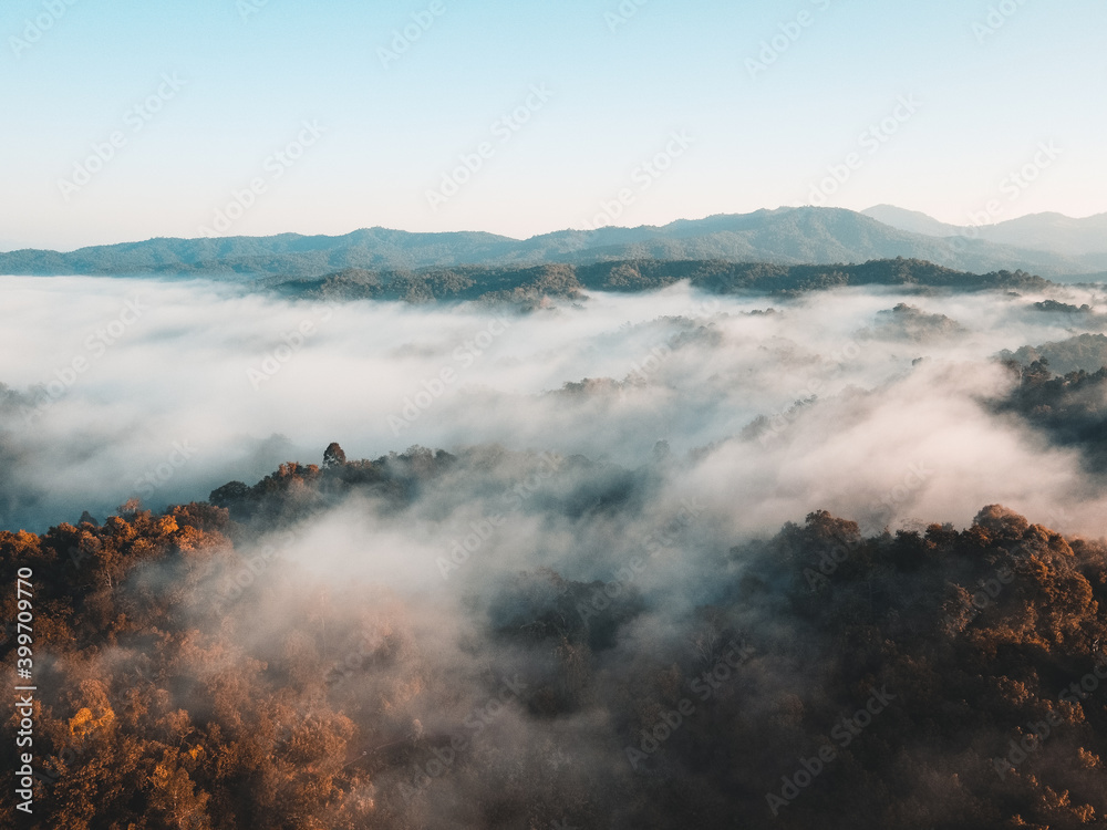 Early morning forest from above, morning sun and fog