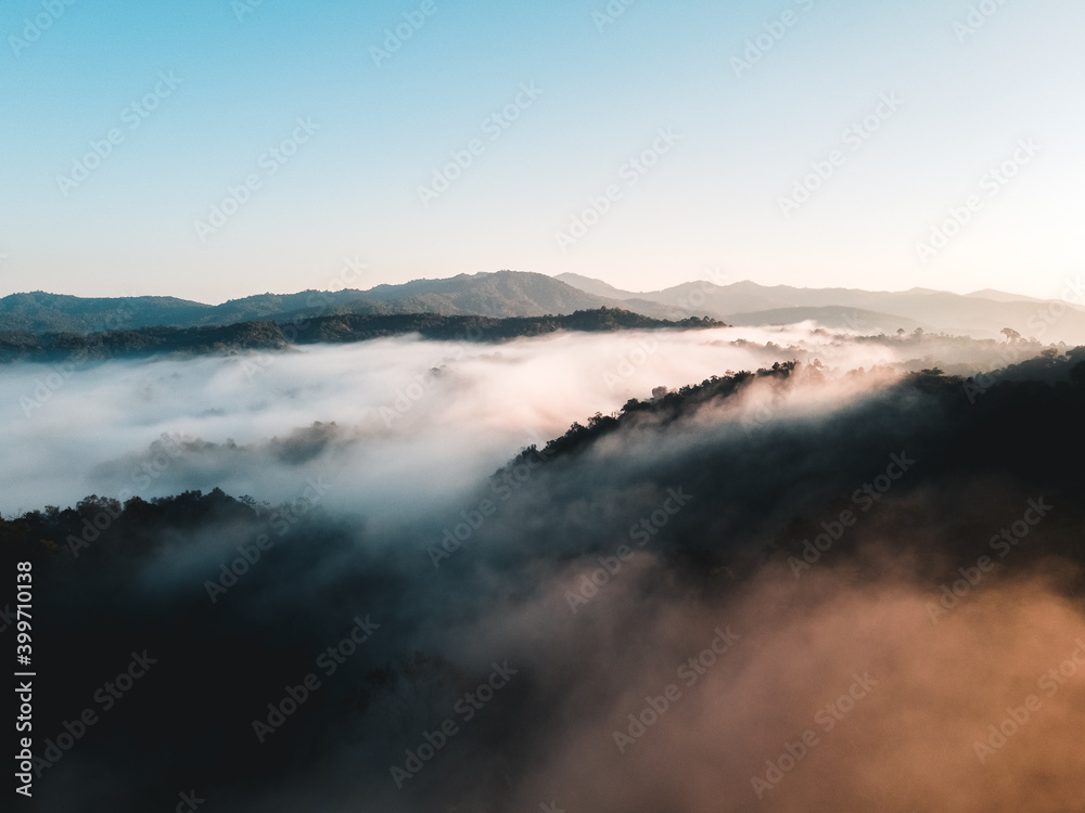 Early morning forest from above, morning sun and fog