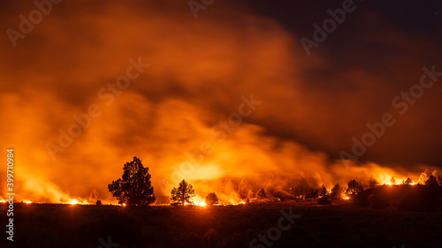 California wildfire burns in forest