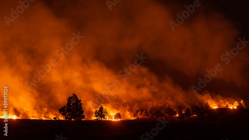 Oregon wildfire burns in forest