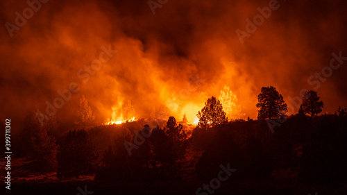 Oregon wildfire burns in forest