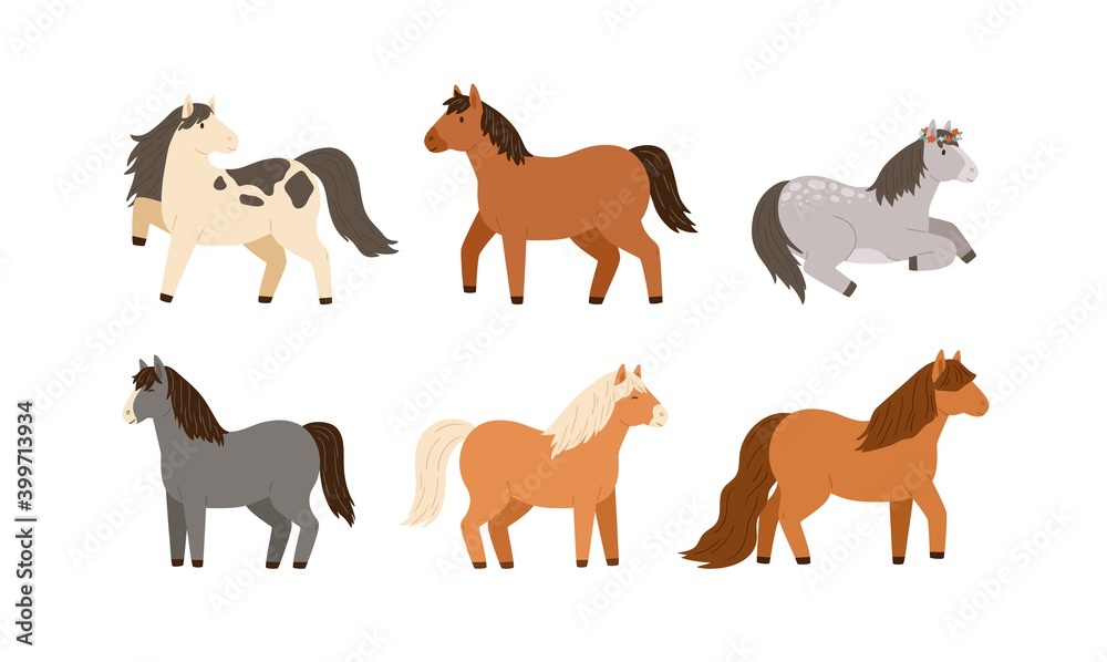 Set of different cute little horses. Collection of adorable childish pony. Flat vector cartoon illustration of beautiful domestic farm animals isolated on white background