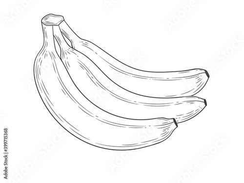 Banana engraved with leaf vintage illustration isolated on white background. Organic food hand drawn sketch . Black outline. 