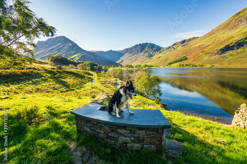 Sunrise at Buttermere lake in Lake District. Cumbria. England photo