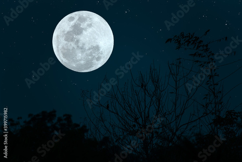 Full moon on sky with silhouette tree branch in the dark night.