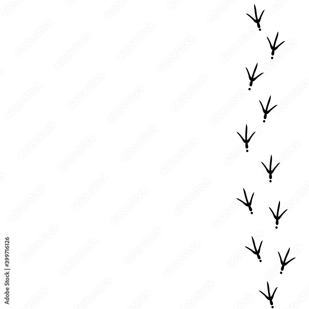 Vector background with bird trail on the right side. Black Bird footprints track Vector background with bird trail on the right side. Black Bird footprints track