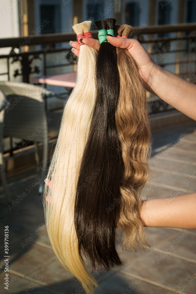 Naklejka premium strands of natural women's hair for encapsulation and extension in a beauty salon.