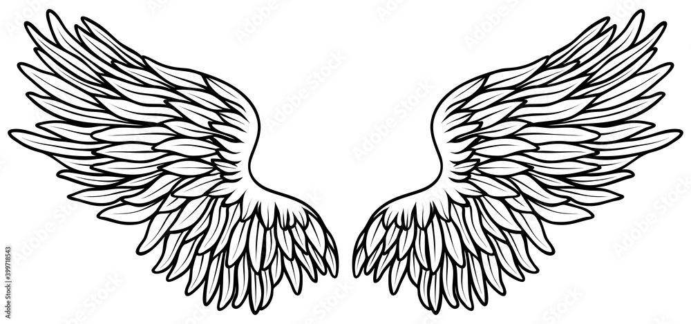 Beautiful white angel wings, hand drawn Beautiful white angel wings, hand drawn