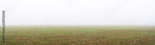 Green meadow panorama with morning fog